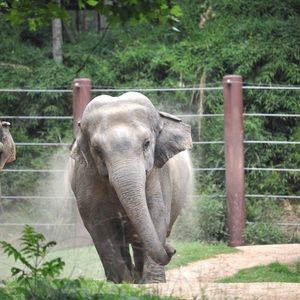 Meet your Posher, Tila